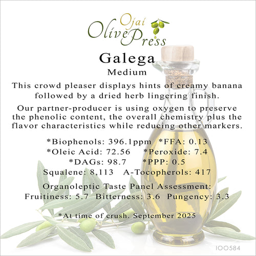 Galega Premium Extra Virgin Olive Oil, Medium Intensity, 396.1ppm
