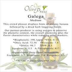 Galega Premium Extra Virgin Olive Oil, Medium Intensity, 396.1ppm